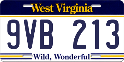 WV license plate 9VB213