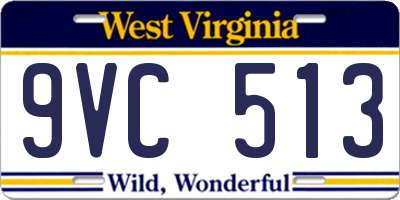 WV license plate 9VC513