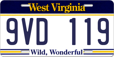 WV license plate 9VD119