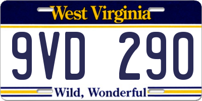WV license plate 9VD290