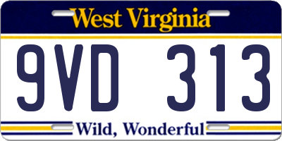 WV license plate 9VD313