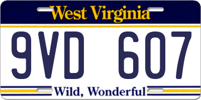 WV license plate 9VD607