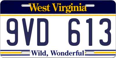 WV license plate 9VD613