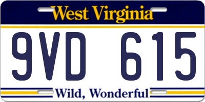 WV license plate 9VD615