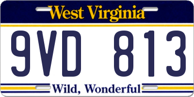 WV license plate 9VD813