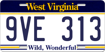 WV license plate 9VE313