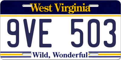WV license plate 9VE503