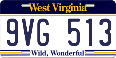 WV license plate 9VG513