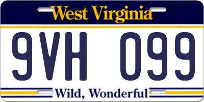 WV license plate 9VH099