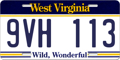 WV license plate 9VH113