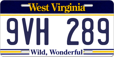 WV license plate 9VH289