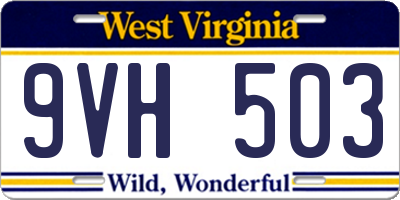 WV license plate 9VH503