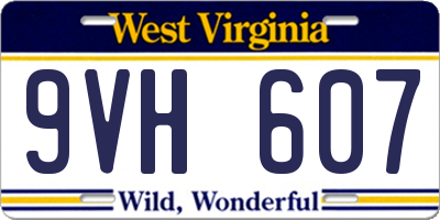 WV license plate 9VH607