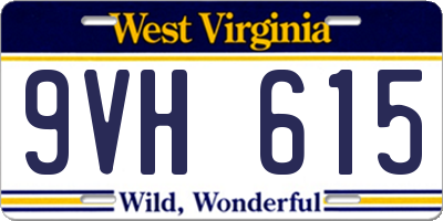 WV license plate 9VH615