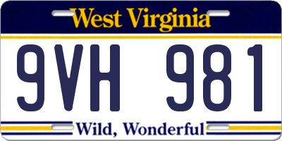 WV license plate 9VH981