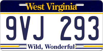WV license plate 9VJ293