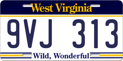 WV license plate 9VJ313