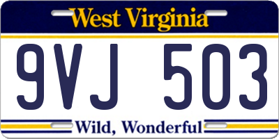 WV license plate 9VJ503