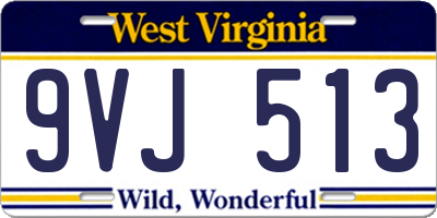 WV license plate 9VJ513