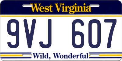 WV license plate 9VJ607