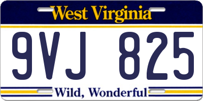 WV license plate 9VJ825