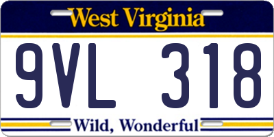 WV license plate 9VL318