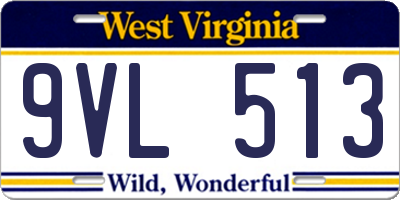 WV license plate 9VL513