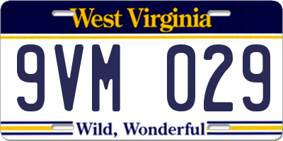 WV license plate 9VM029