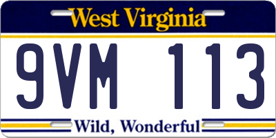 WV license plate 9VM113