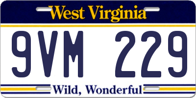 WV license plate 9VM229