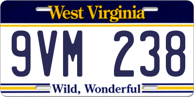 WV license plate 9VM238