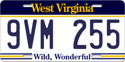 WV license plate 9VM255