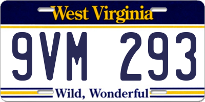 WV license plate 9VM293