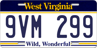 WV license plate 9VM299