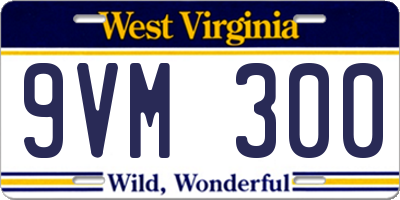 WV license plate 9VM300