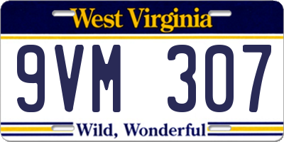 WV license plate 9VM307