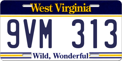 WV license plate 9VM313