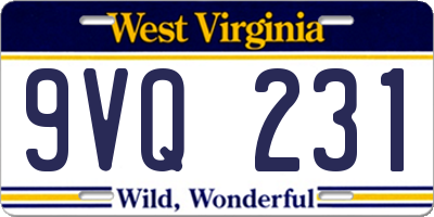 WV license plate 9VQ231