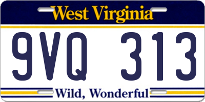 WV license plate 9VQ313