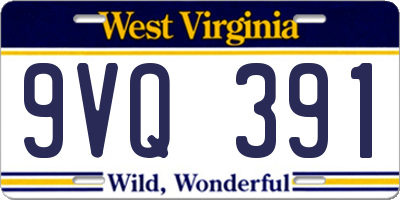 WV license plate 9VQ391