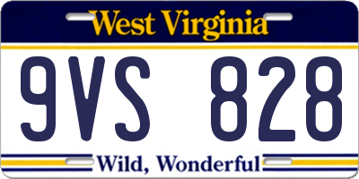 WV license plate 9VS828
