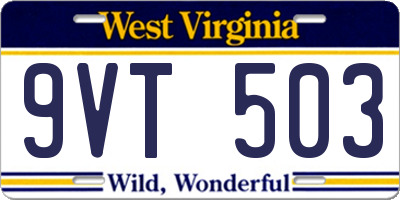 WV license plate 9VT503