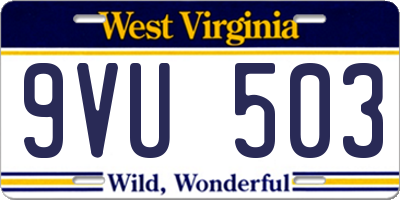 WV license plate 9VU503