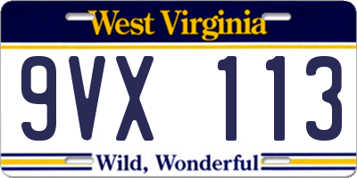 WV license plate 9VX113