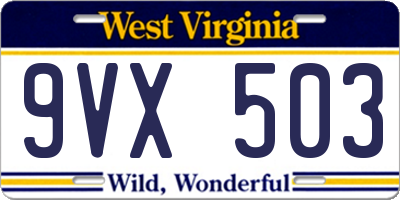 WV license plate 9VX503