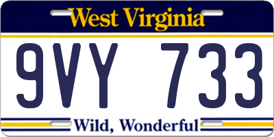 WV license plate 9VY733