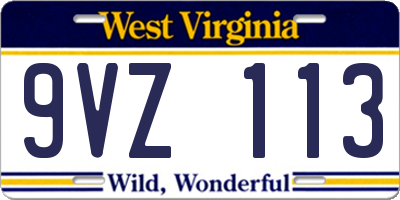 WV license plate 9VZ113
