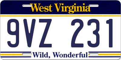 WV license plate 9VZ231