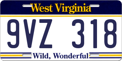 WV license plate 9VZ318