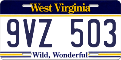 WV license plate 9VZ503
